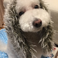 凛