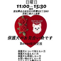 第21回Revue動物愛護DAY