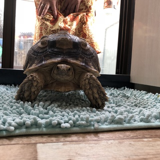 可愛がってくださる方探してます！