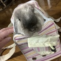 ありがとうございました