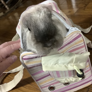 ありがとうございました