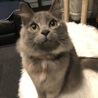 むぎ