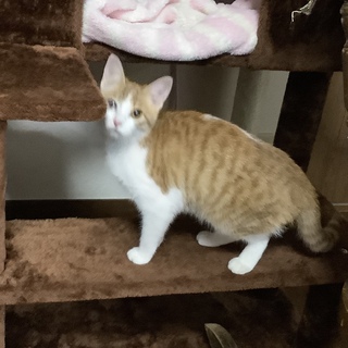 ありがとうございました