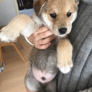 ぼく長男だけど甘えたい~~!!