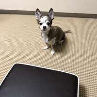 クロム