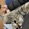 のび〜っとして甘えてます❤️