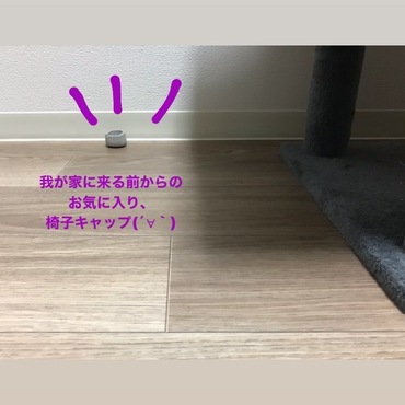 の写真