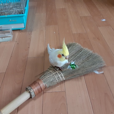 の写真