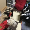 チャコとレオン