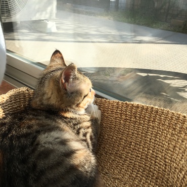 の写真