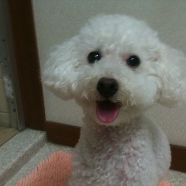 の写真