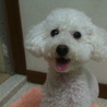 の写真