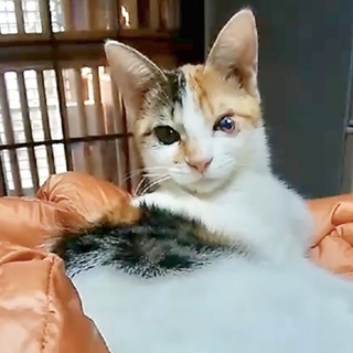 【2/23浅草橋】性格最高です♡ナミちゃん