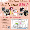 【2/23浅草橋】性格最高です♡ナミちゃん サムネイル3