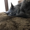 おかめりん