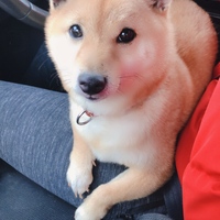 ナコ
