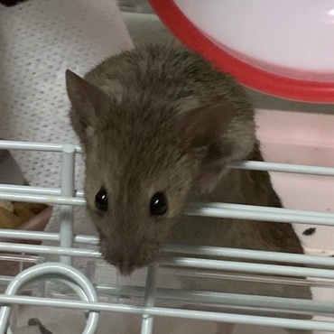 出て良いの？お散歩するから！！