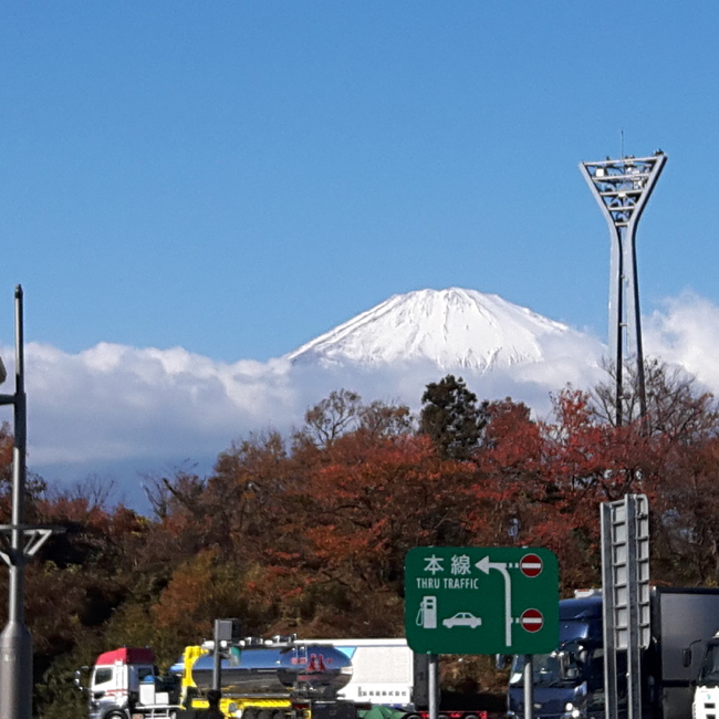 健二郎のカバー写真
