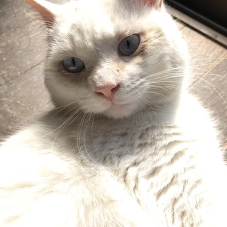 ブランといると何もしたく無くなります♡特技です!