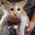 【コーンスープ】おかげさまで里親様が決まりました！
