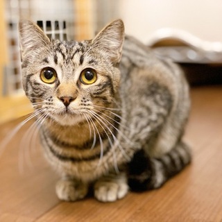 高くて可愛い声♪ オモチャ大好きな男の子♂