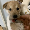 めちゃくちゃフレンドリーです。