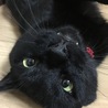 の写真