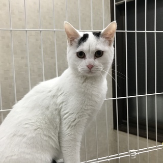 終生大切にしてくださる方。
