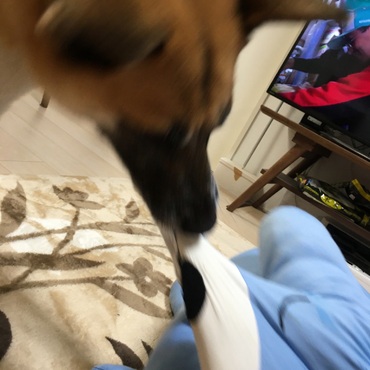 だから壊れちゃうってば