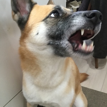 の写真