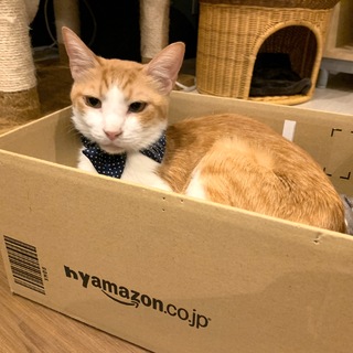 【タマ】優しいスリゴロな男の子