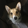 ひでつぐ