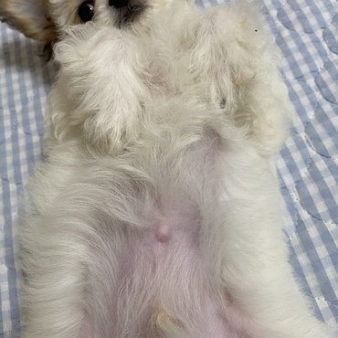 の写真