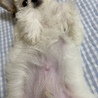 の写真
