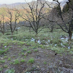 「レジンで迷子札作り」サムネイル2