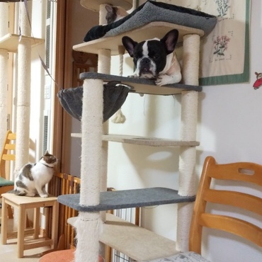 すずの写真