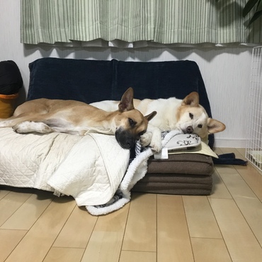 仲良くしています！
