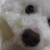 の写真