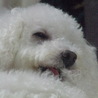 の写真