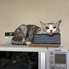そういう使い方もあり⁈