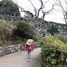 のえるのえる