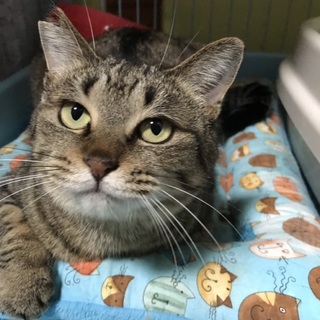 トライアル決定！とっても甘えん坊の女の子