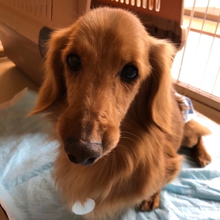 協力ボランティアさんに団体間移動しました