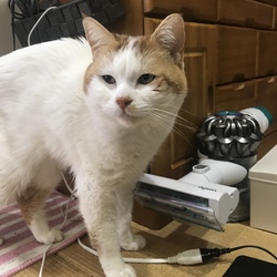 暖冬