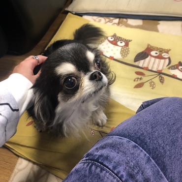 ルーキーくんはちっちゃくて可愛い