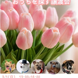 コロナのため中止になりました。   譲渡会