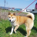 あっくん(仮)〜元気いっぱいミックス〜