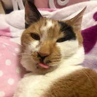 メル