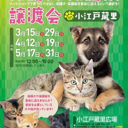 保護犬・保護猫譲渡会中止