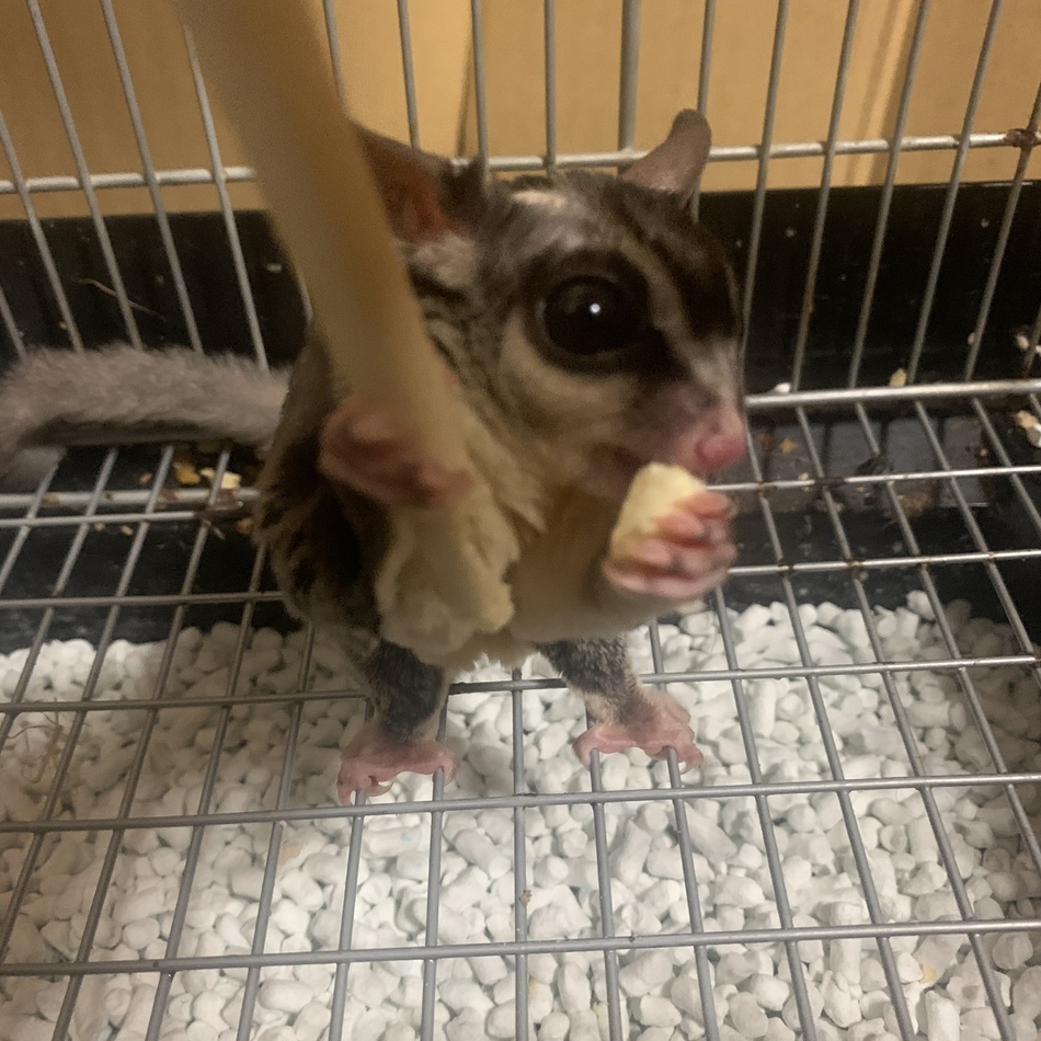 サニーのカバー写真